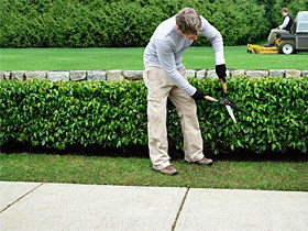 entretien de jardin entretien de jardin