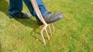 travaux de jardinage