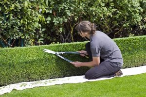 élagage de jardin