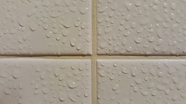 carrelages existants pour une salle de bain carrelages existants pour une salle de bain